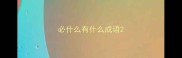 必什么有什么成语