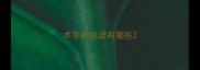 术字的成语有哪些