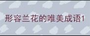 形容兰花的唯美成语