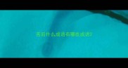 苦后什么成语有哪些成语