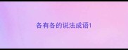 各有各的说法成语