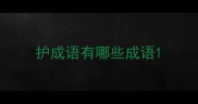 护成语有哪些成语