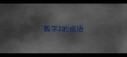 数字2的成语
