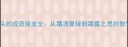 霜字开头的成语接龙全从霜凋夏绿到霜露之思的智慧传承