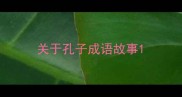 关于孔子成语故事