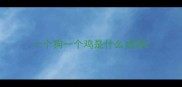 一个狗一个鸡是什么成语