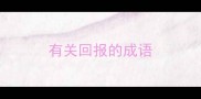 有关回报的成语