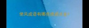 使风成语有哪些成语大全