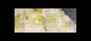 乡字的成语
