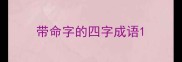 带命字的四字成语