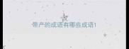 带产的成语有哪些成语