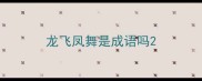 龙飞凤舞是成语吗