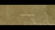 动物外貌成语