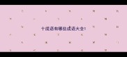 十成语有哪些成语大全