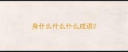 身什么什么什么成语