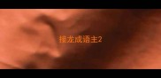 接龙成语主