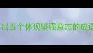 写出五个体现坚强意志的成语