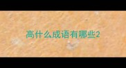 高什么成语有哪些
