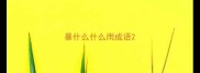 暴什么什么雨成语