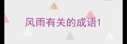 风雨有关的成语