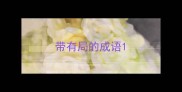 带有局的成语