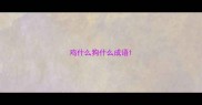 鸡什么狗什么成语