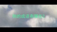 刺的成语有哪些