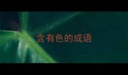 含有色的成语