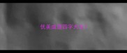 优美成语四字大全