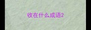 收在什么成语