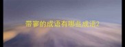 带寥的成语有哪些成语