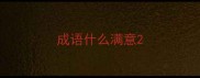 成语什么满意