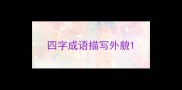 四字成语描写外貌