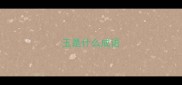 玉是什么成语
