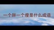 一个胖一个瘦是什么成语