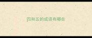 四和五的成语有哪些