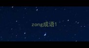 zong成语