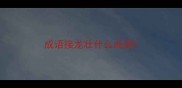 成语接龙壮什么成语