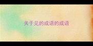 关于见的成语的成语
