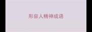 形容人精神成语