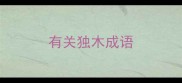 有关独木成语