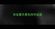 形容夏天景色四字成语