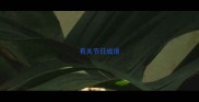 有关节日成语