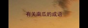 有关南瓜的成语