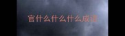 官什么什么什么成语