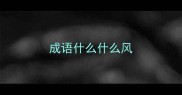 成语什么什么风