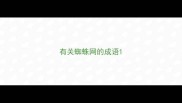 有关蜘蛛网的成语