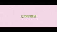 过饰非成语