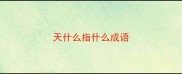 天什么指什么成语