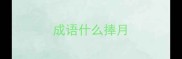 成语什么捧月